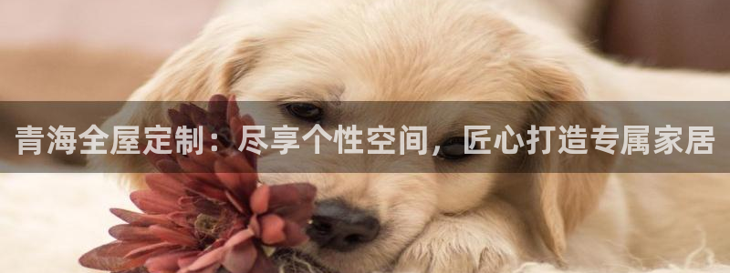 bb电子游戏娱乐平台