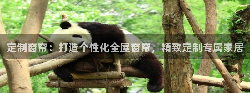 BB电子游戏钱得钱