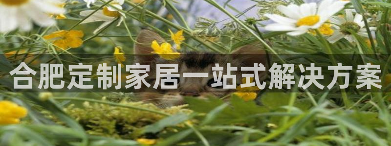 BB电子麻将胡了