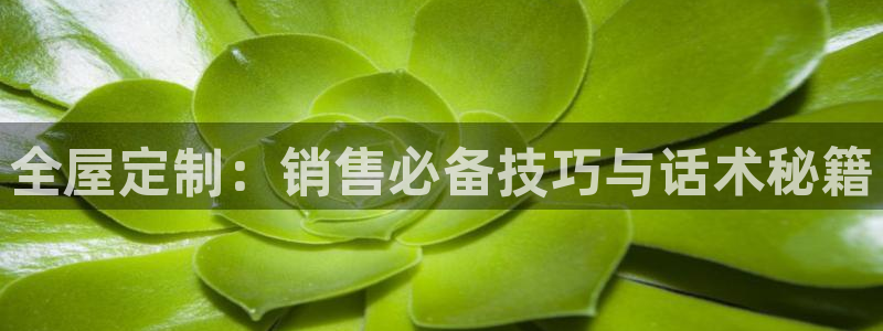 BB电子锁怎么接电