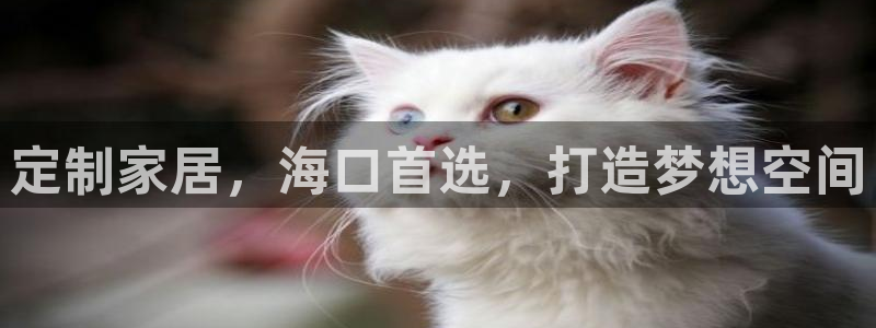 bb电子糖果彩球