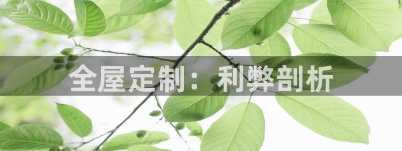 bB电子琴和弦