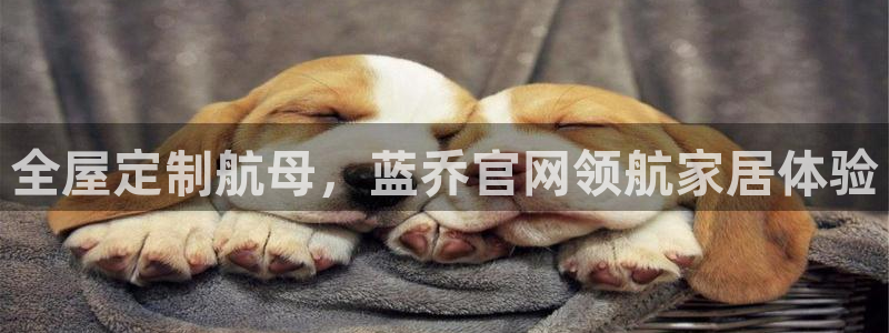 bB电子琴和弦
