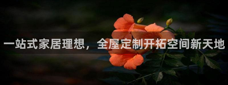 BB电子骗局