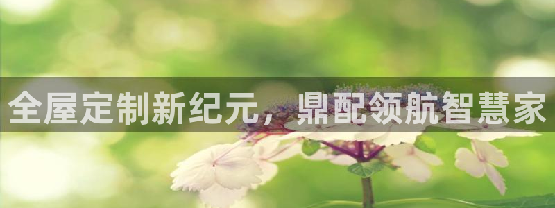 bb电子游戏作弊