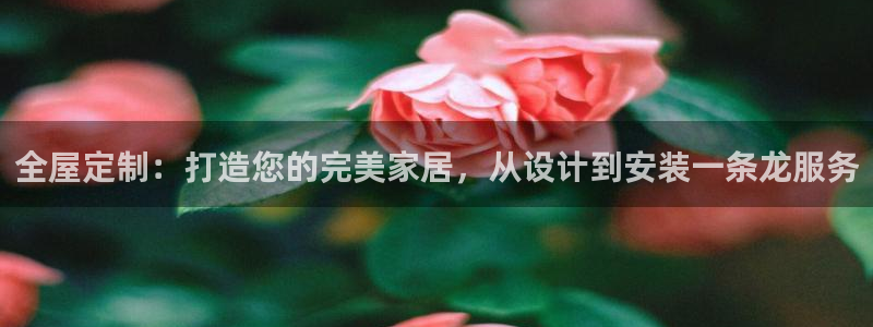 bb电子哪个平台好点