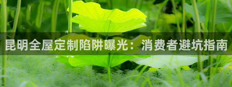 Bb电子琴和弦是哪个