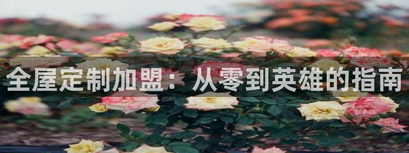 BB电子怪物派对