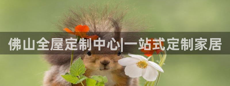 bb电子哪个平台好些
