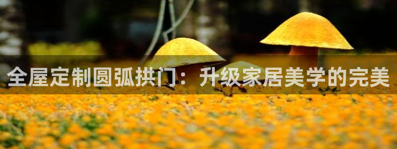 bb电子哪个平台好用一点