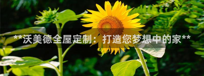 BB电子骗局