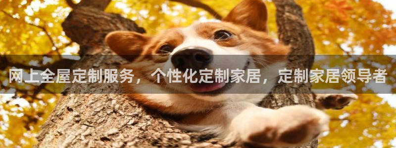 BB电子哪个平台好出款