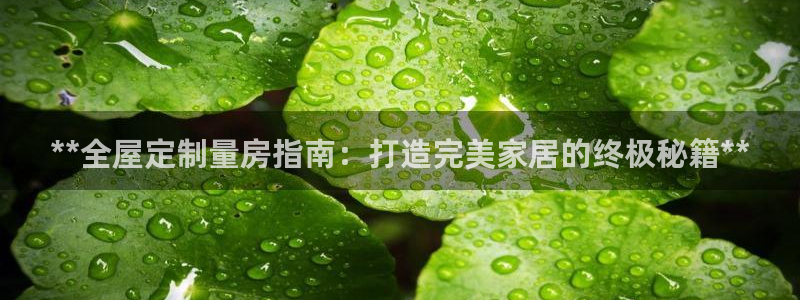bb电子哪个平台好用一点