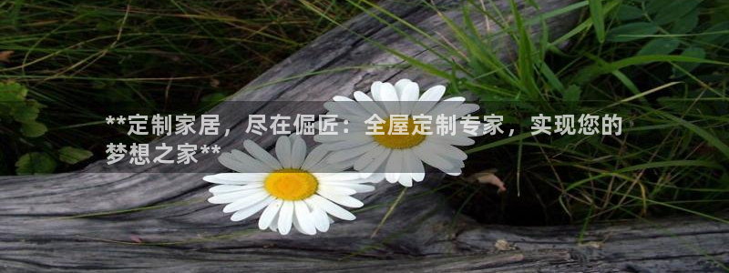 bb电子哪个平台好点