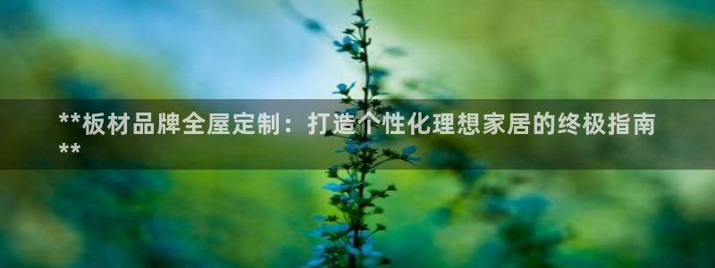 BB电子开户