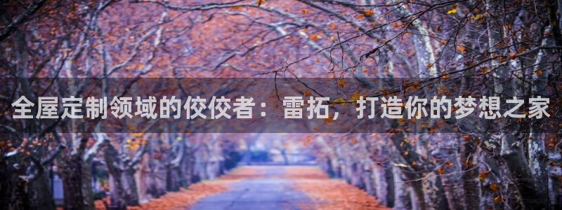 BB电子哪个平台好出款