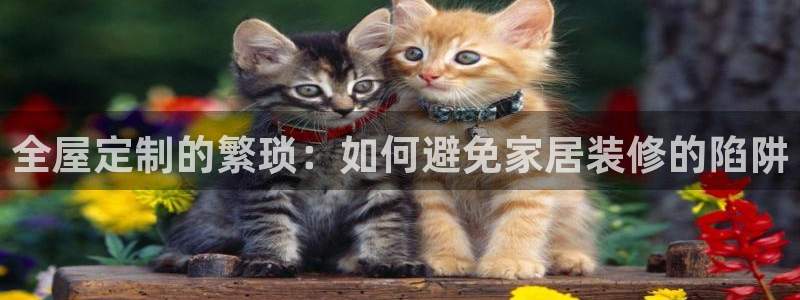 bb电子怎么赢
