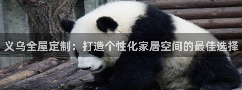 bb电子怎么赢