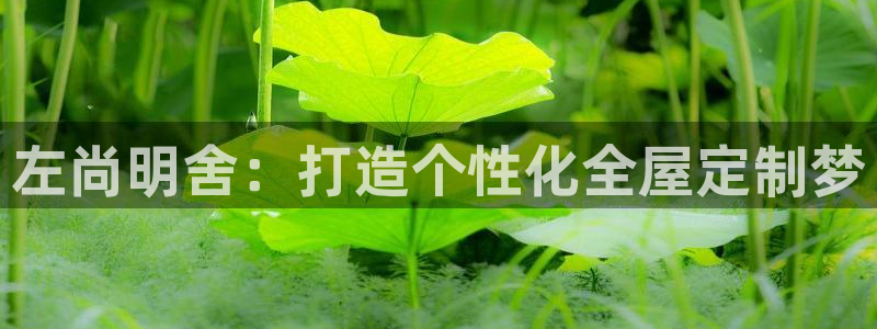 bb电子怎么英语怎么说