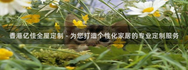 bb电子哪个平台好点