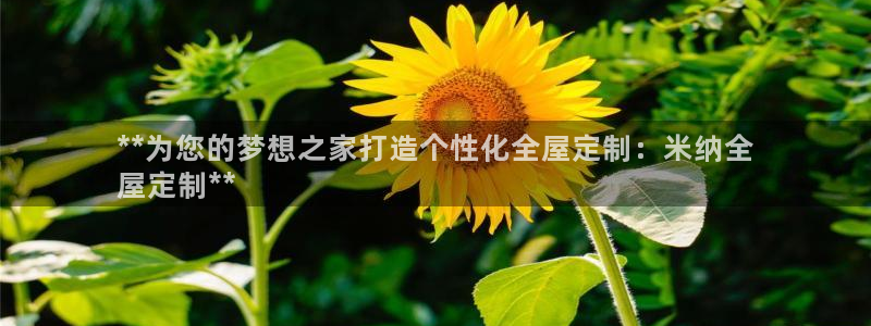 bb电子哪个平台好一点