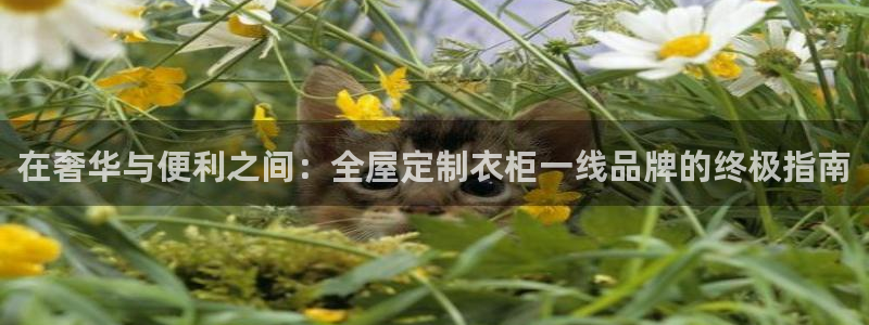 BB电子怪物派对
